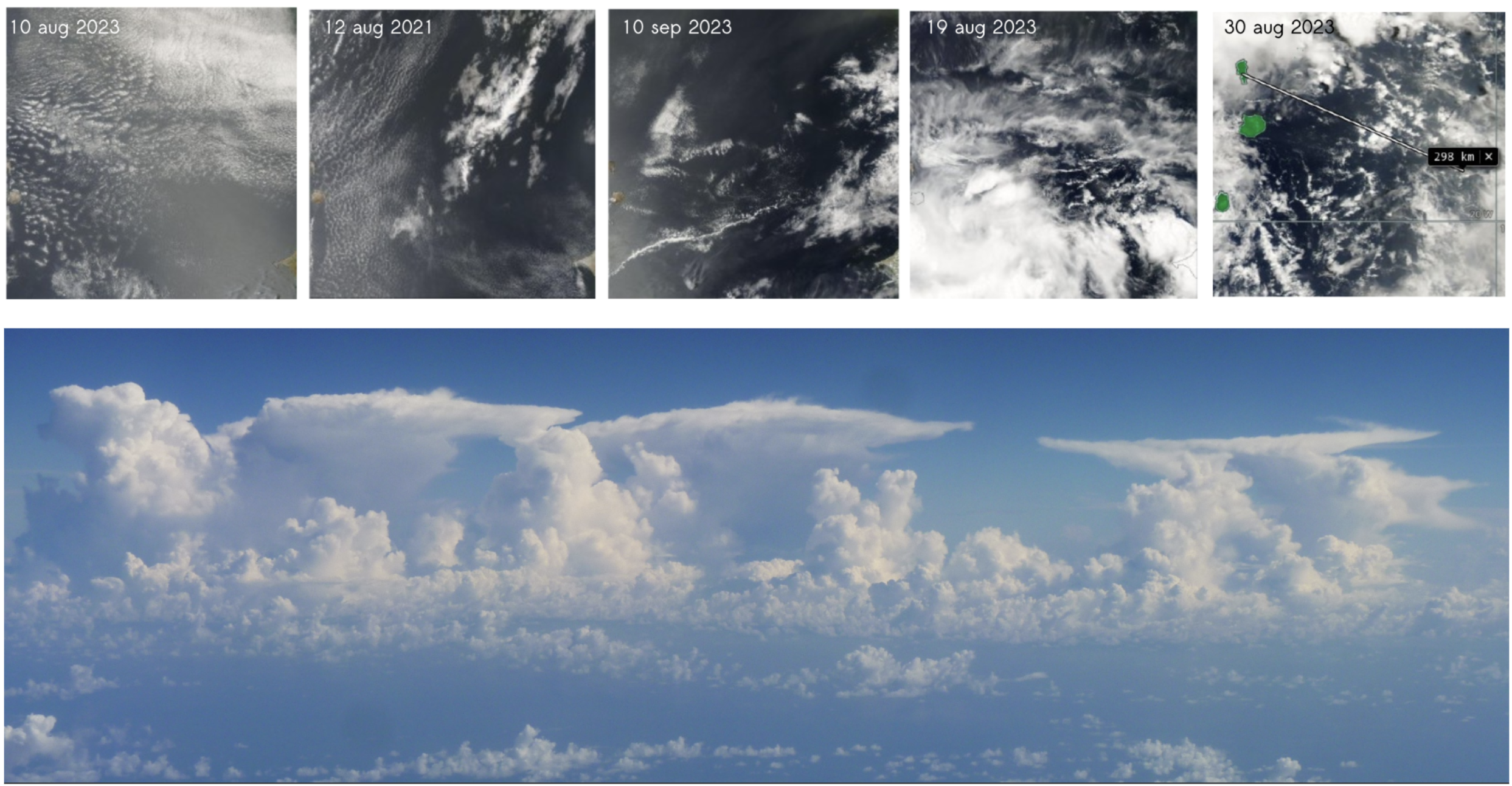 Mesoscale Organization